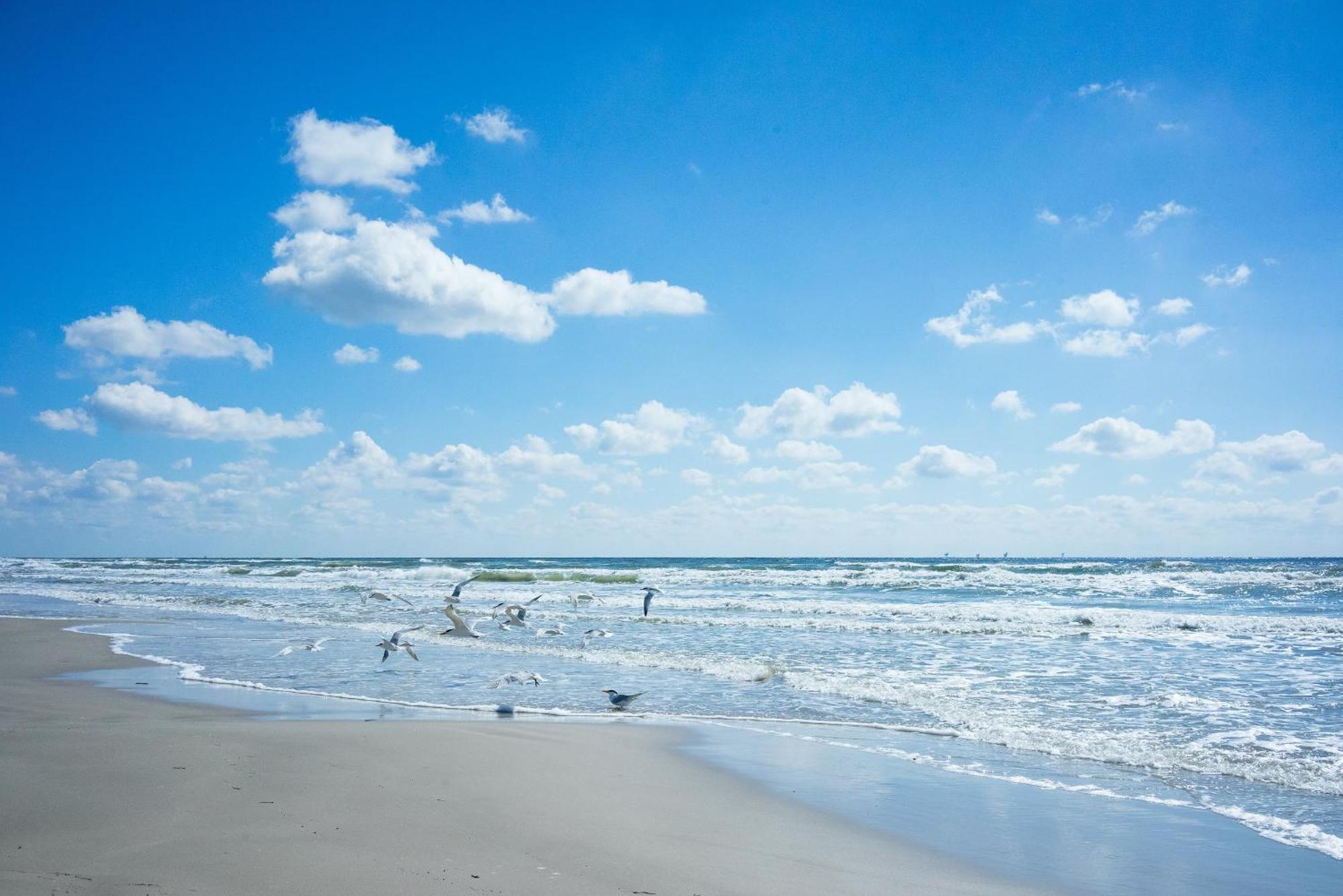 King'S Cove 5 Min To Beach, Bbq, King Bed Corpus Christi Exterior foto